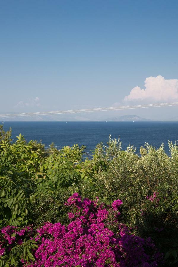 Ionian Garden Villas - Villa Pietra Benitses  Zewnętrze zdjęcie